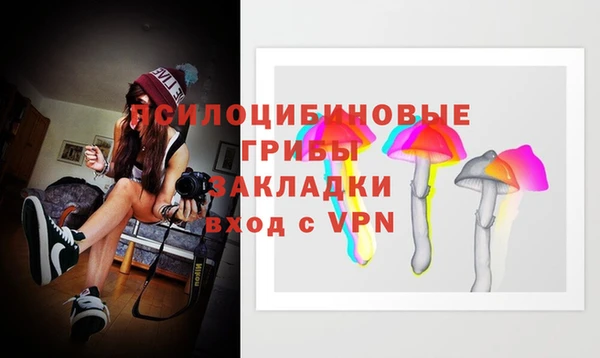 прущие крисы Богородск