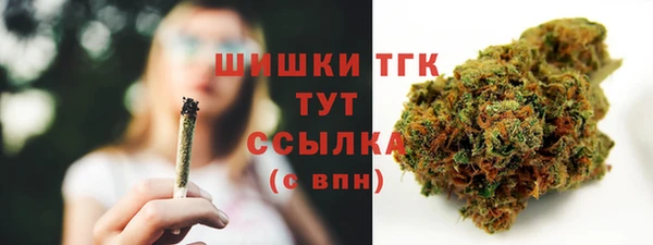 гидропоника Богданович