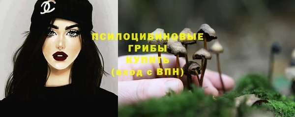гидропоника Богданович