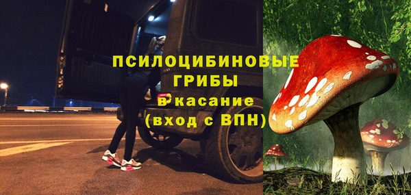 гидропоника Богданович