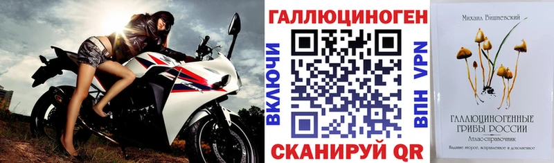 Галлюциногенные грибы Cubensis  Купить где  Терек 
