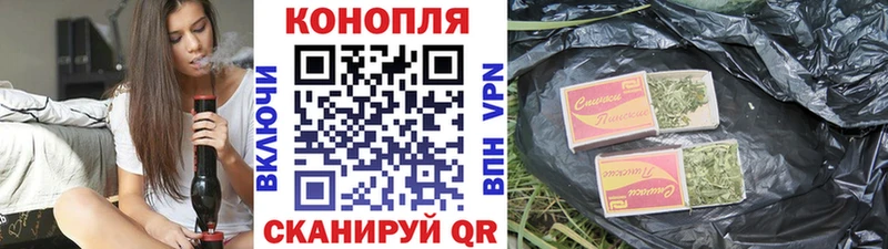 Шишки марихуана гибрид Купить Терек
